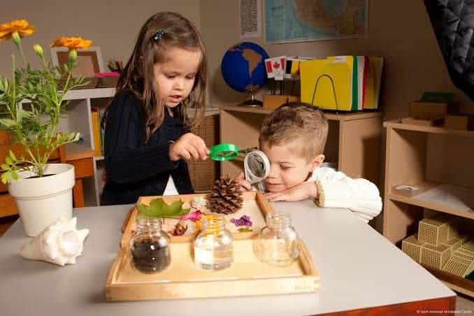 نادي الفنون