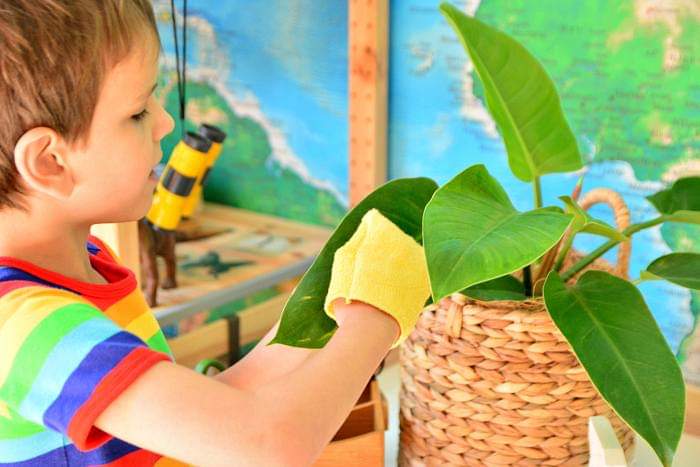 نادي القراءة